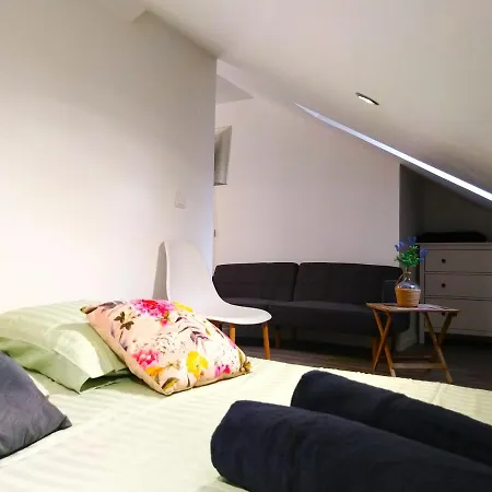 Le Cours Foucault N5 Apartment Montauban